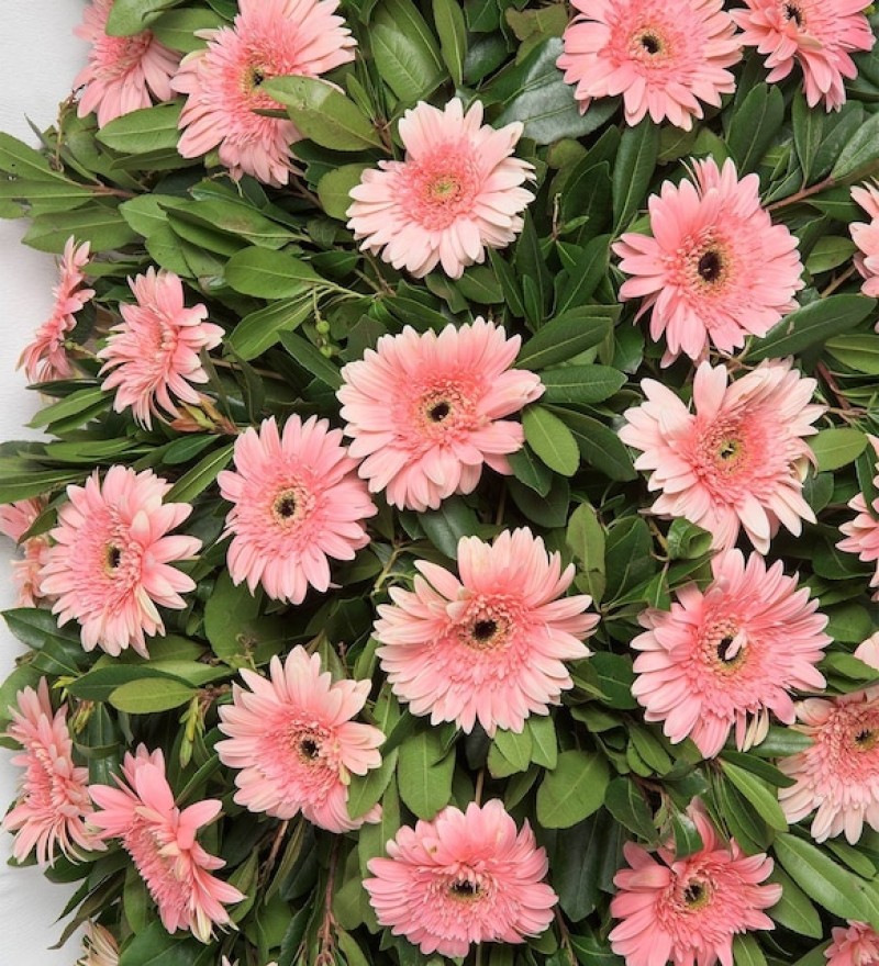 Pembe Düğün Açılış Çelengi